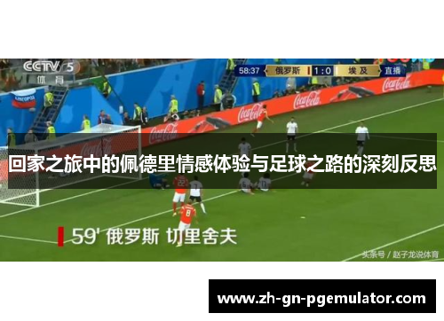 回家之旅中的佩德里情感体验与足球之路的深刻反思