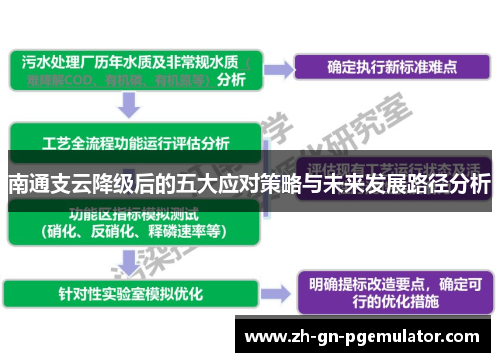 南通支云降级后的五大应对策略与未来发展路径分析 南通支云降级后的五大应对策略与未来发展路径分析