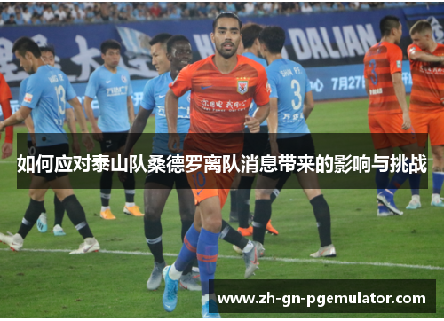 如何应对泰山队桑德罗离队消息带来的影响与挑战 如何应对泰山队桑德罗离队消息带来的影响与挑战