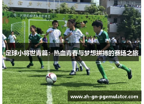 足球小将世青篇:热血青春与梦想拼搏的赛场之旅 足球小将世青篇:热血青春与梦想拼搏的赛场之旅