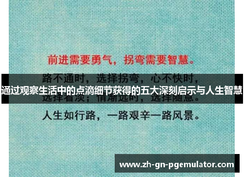通过观察生活中的点滴细节获得的五大深刻启示与人生智慧