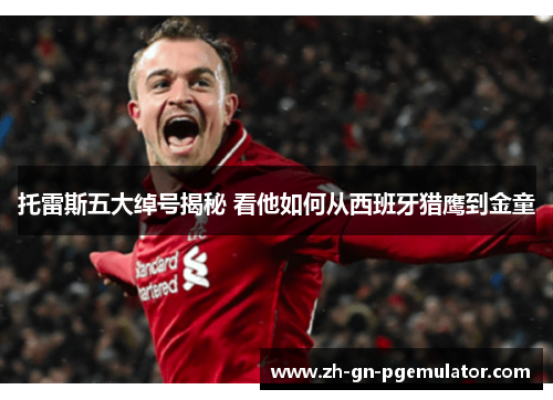 托雷斯五大绰号揭秘 看他如何从西班牙猎鹰到金童 托雷斯五大绰号揭秘 看他如何从西班牙猎鹰到金童