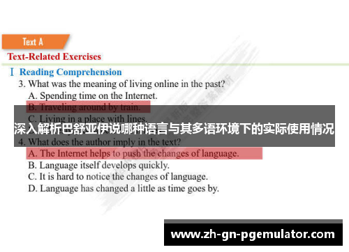 深入解析巴舒亚伊说哪种语言与其多语环境下的实际使用情况 深入解析巴舒亚伊说哪种语言与其多语环境下的实际使用情况