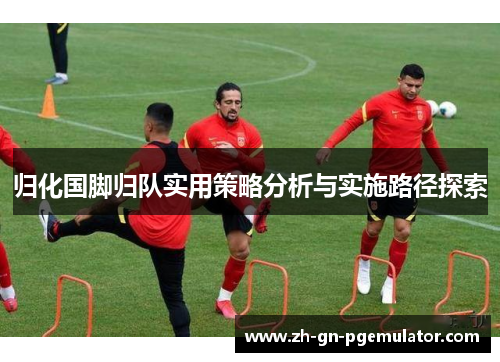 归化国脚归队实用策略分析与实施路径探索