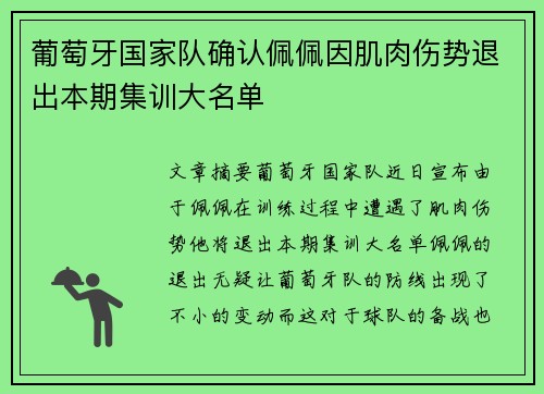 葡萄牙国家队确认佩佩因肌肉伤势退出本期集训大名单 葡萄牙国家队确认佩佩因肌肉伤势退出本期集训大名单