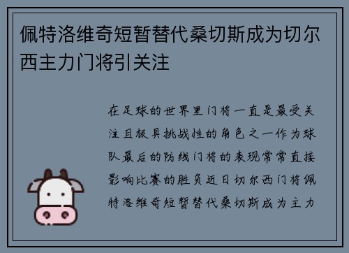 佩特洛维奇短暂替代桑切斯成为切尔西主力门将引关注 佩特洛维奇短暂替代桑切斯成为切尔西主力门将引关注